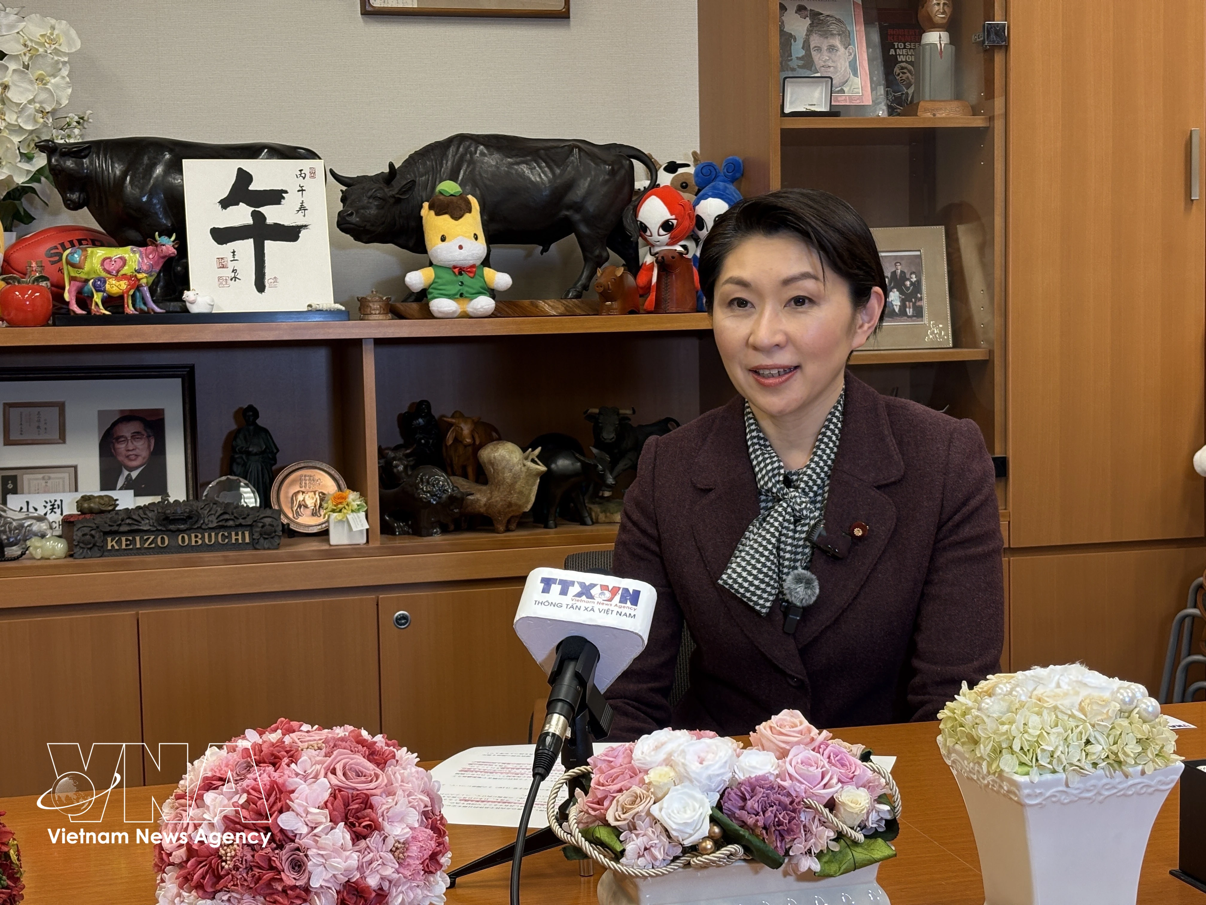 日越友好议员联盟主席、参议员小渕优子接受越通社记者采访。图自越通社