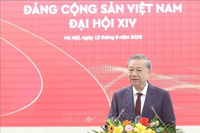 苏林总书记发言。图自越通社