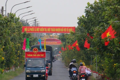 芹苴市永永乡广泛宣传选举工作。图自越通社