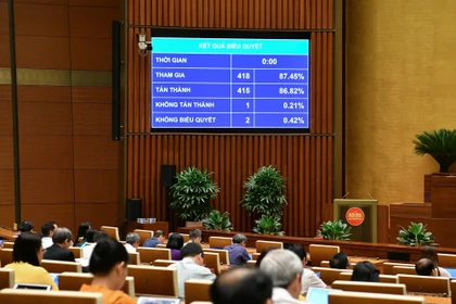 国会代表表决通过《〈国会代表和人民议会代表选举法〉若干条款关于修改补充法》。