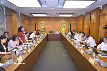 国会代表分组讨论成立广宁市和北宁市相关问题。图自越通社