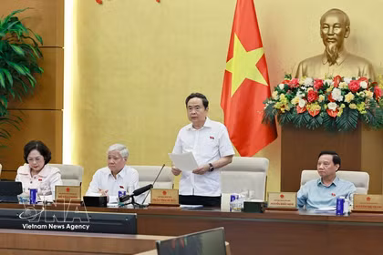 国会主席陈青敏在会议上发表讲话。图自越通社