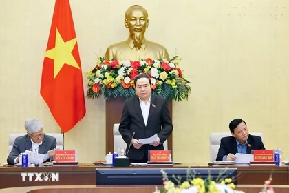 国会主席陈青敏在会上发表讲话。图自越通社