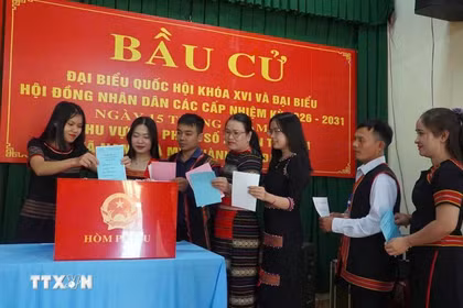 已完成投票的选民人数为76188544人，占选民总数的99.68%。图自越通社