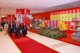 “在党的旗帜下，国家迈入新纪元”图片展为越共十四大增光添彩