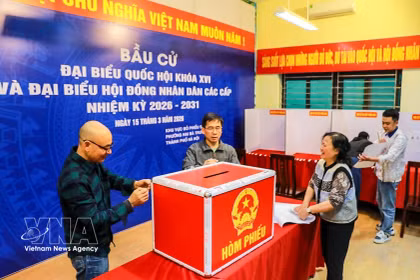 第十六届国会代表和2026-2031年任期各级人民议会代表选举的准备工作正在同步开展。图自越通社