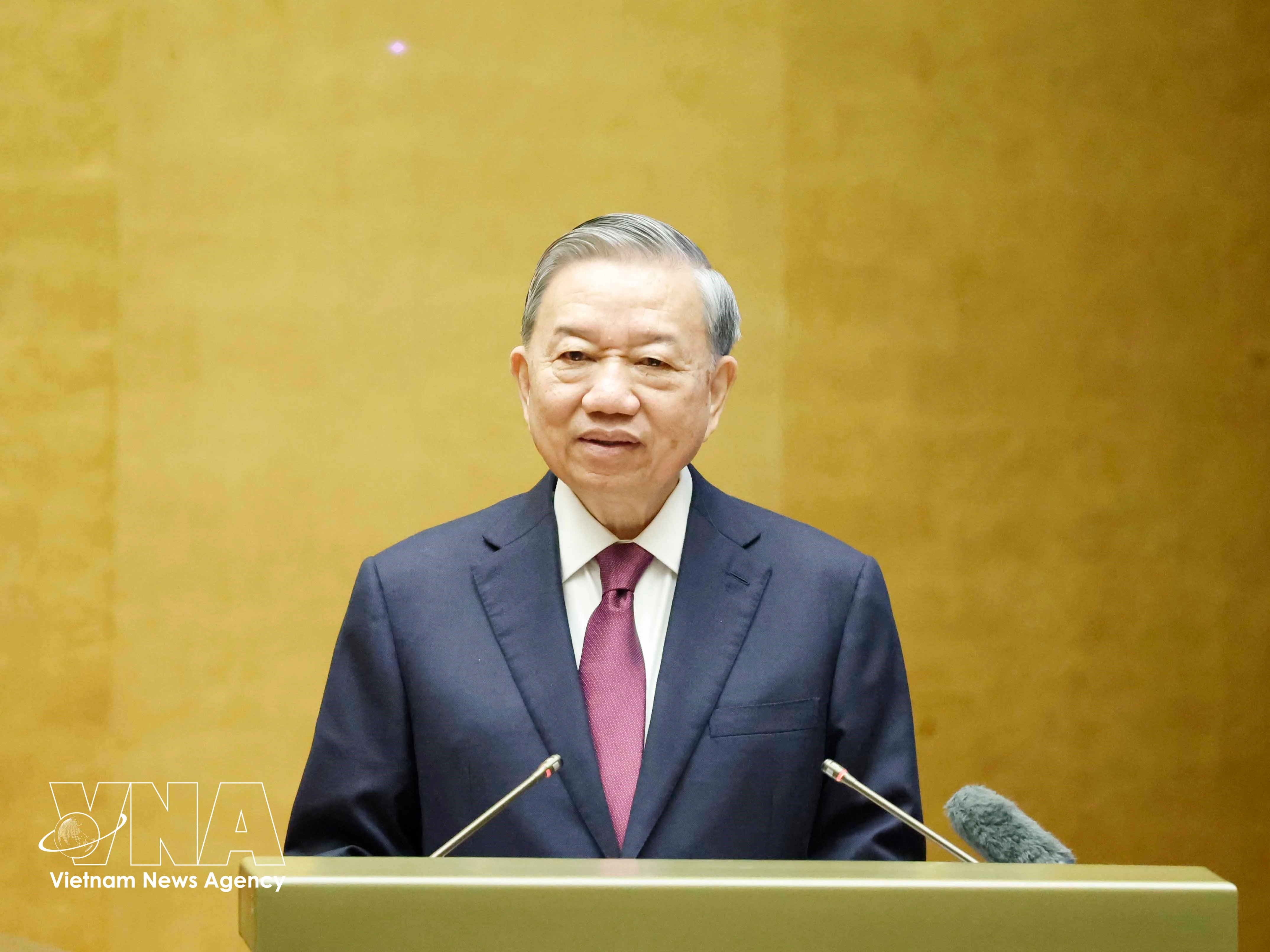 越共中央总书记、国家主席苏林出席会议并发表指导性讲话。图自越通社