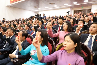 代表们表决通过大会决议草案。图自越通社