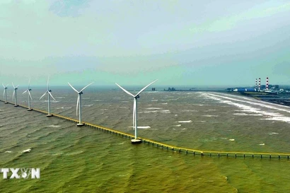 为引路火炬添薪助燃