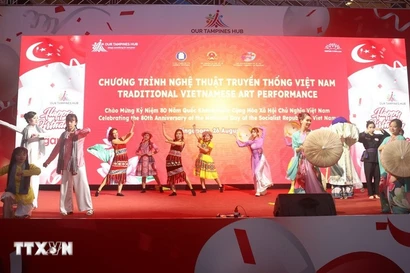 在新加坡举行的越南传统艺术表演节目。图自越通社