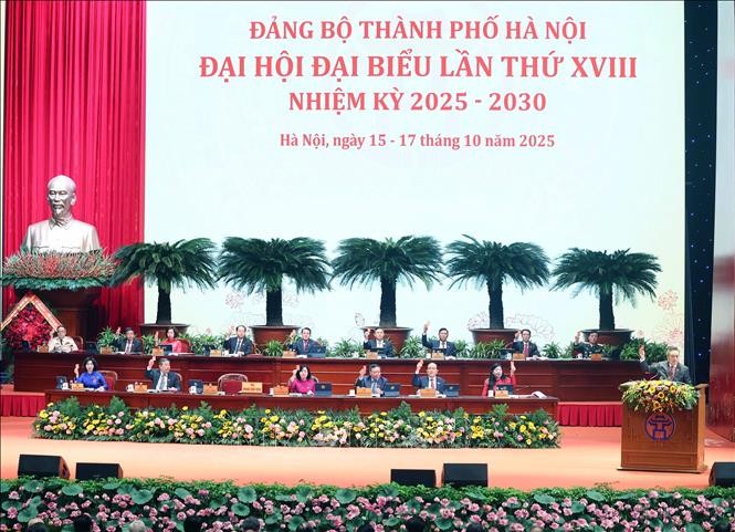 迎接越共十四大:越共河内市第十八次代表大会隆重开幕。图自越通社