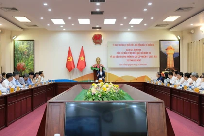 国家副主席武氏映实地检查林同省选举准备工作