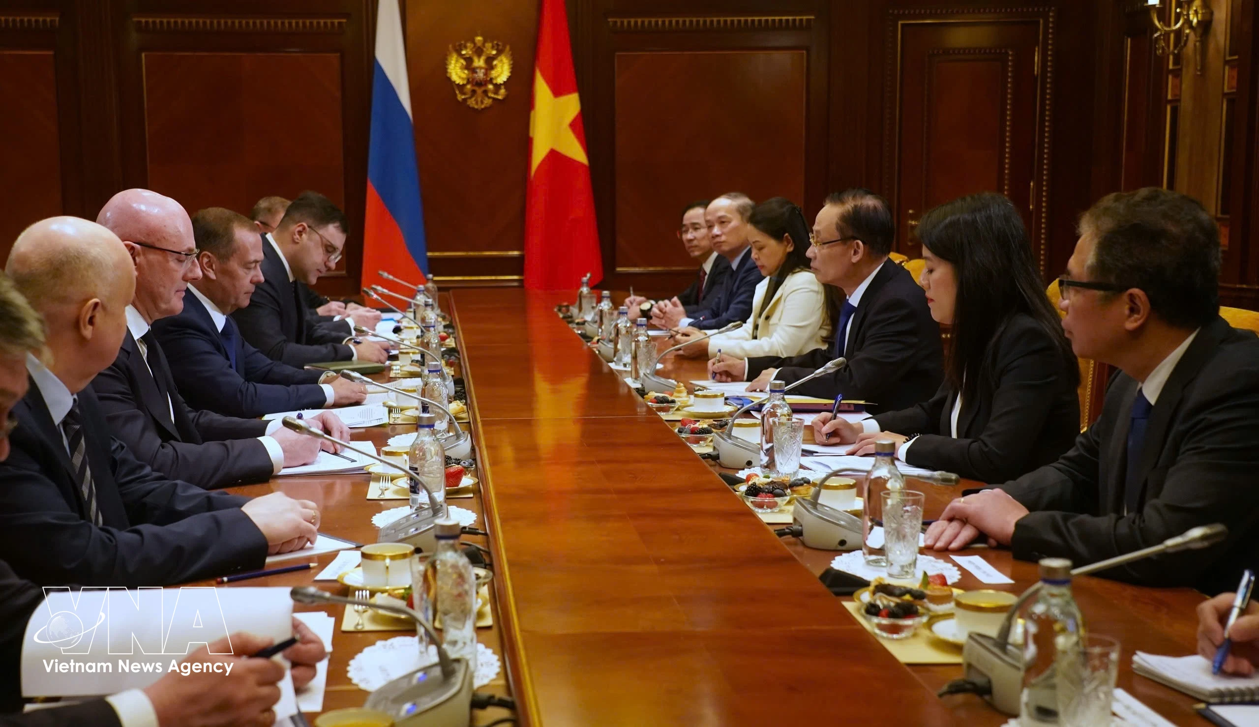 越共中央总书记苏林的特使、越共中央政治局委员、外交部长黎怀忠会见统一俄罗斯党主席德米特里·梅德韦杰夫。越通社发