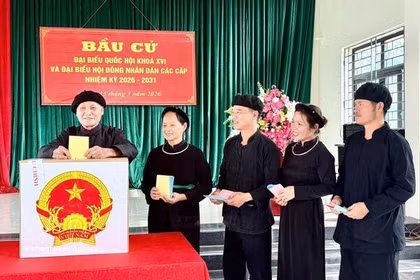 越南第十六届国会和各级人民议会代表选举投票率达99.68%