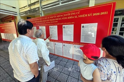 候选人名单和个人简介公开张贴。图自越通社