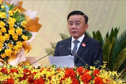 越共十四大：建设岘港成为越南增长极