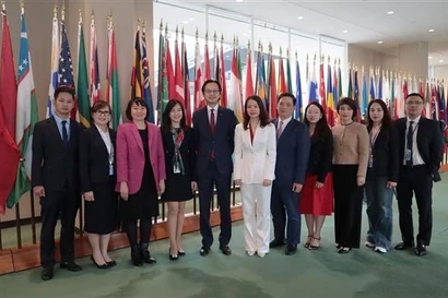 越南副外长阮明姮：联合国人权理事会成员选举结果彰显越南国际地位与声誉日益提升