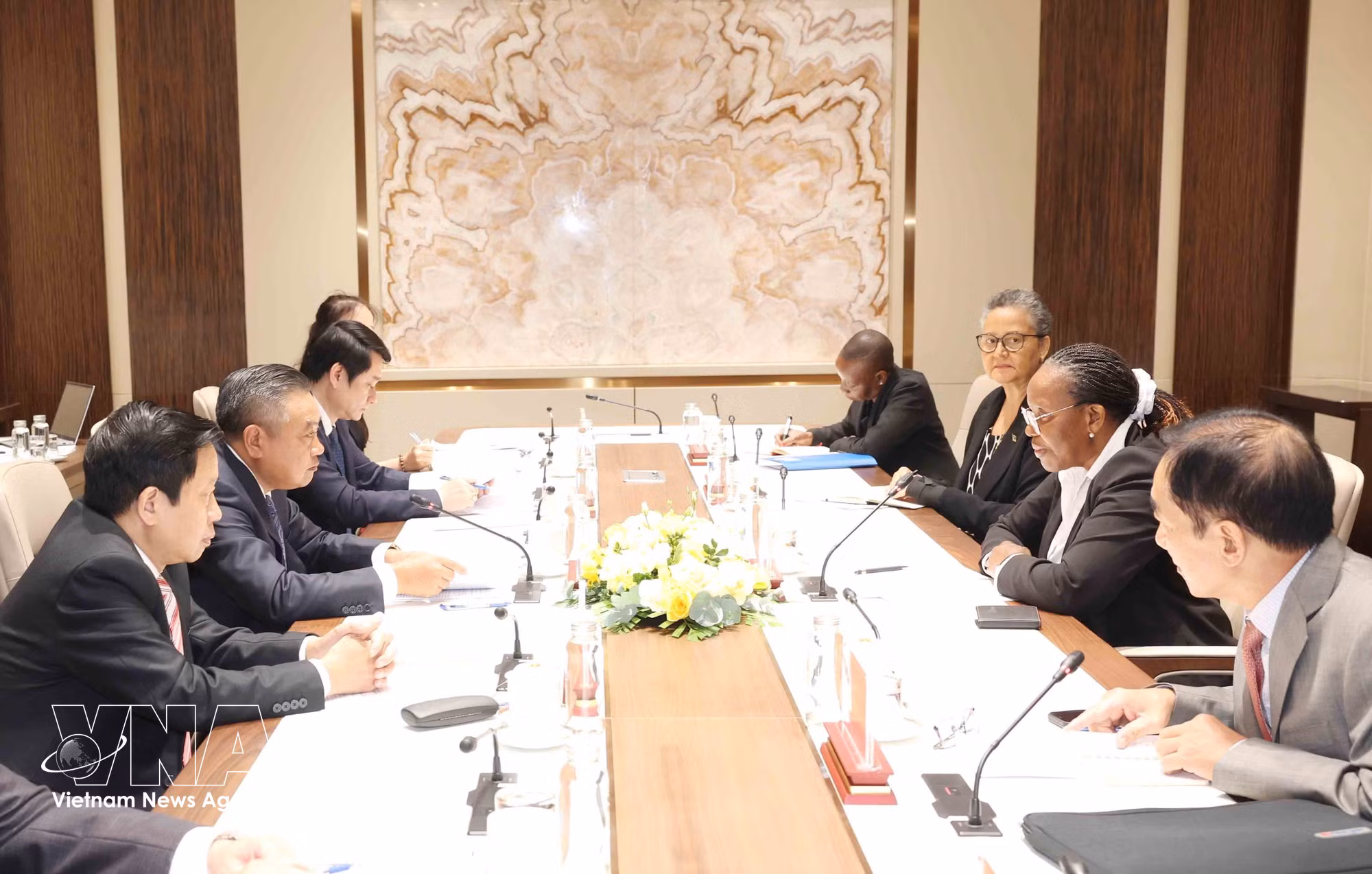 vnanet_potal-chu-nhiem-uy-ban-kiem-tra-trung-uong-hoi-dam-voi-truong-ban-kiem-tra-trung-uong-dang-mat-tran-giai-phong-mozambique-9056282.jpg