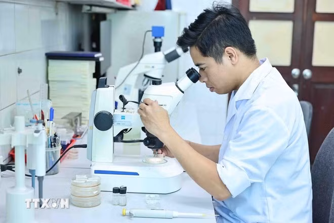 tuoi-tre-vien-han-lam-khoa-hoc-va-cong-nghe-viet-nam.jpg