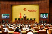 第十五届国会第九次会议场景。图自越通社