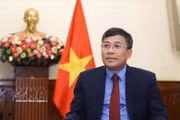 越共中央委员、外交部党委副书记兼副外长阮明羽。图自越通社