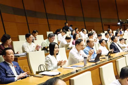 第十六届国会第一次会议通过具有特殊机制政策的《首都法》。图自越通社