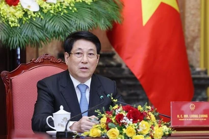 国家主席梁强会见日本自民党青年局局长