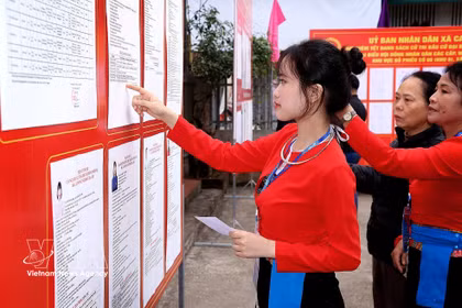 首次参加投票的芒族选民正在认真研究代表候选人的履历信息。图自越通社