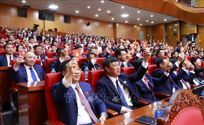 与会代表表决通过大会决议。图自越通社