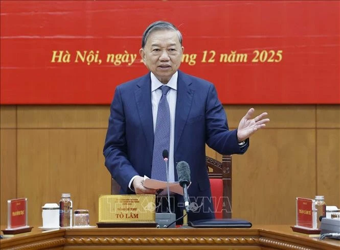 苏林总书记发言。图自越通社