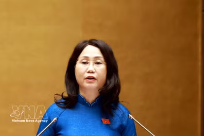 越南文化、体育与旅游部部长林氏芳青作国会关于越南文化发展的决议草案的说明、采纳与整理报告。图自越通社