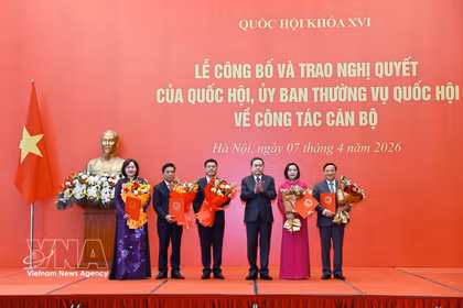 国会主席陈青敏向各位国会副主席授予任命决议。图自越通社