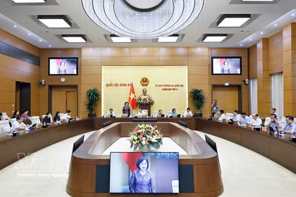 国会主席副主席阮氏红在会议上发表讲话。图自越通社