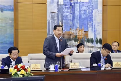 越共中央委员、国会秘书长、国会办公厅主任、国家选举委员会办公厅主任黎光孟在会上作报告。图自越通社
