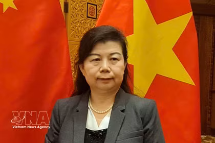 中国人民大学重阳金融研究院研究员刘英接受越通社驻中国记者采访。图自越通社
