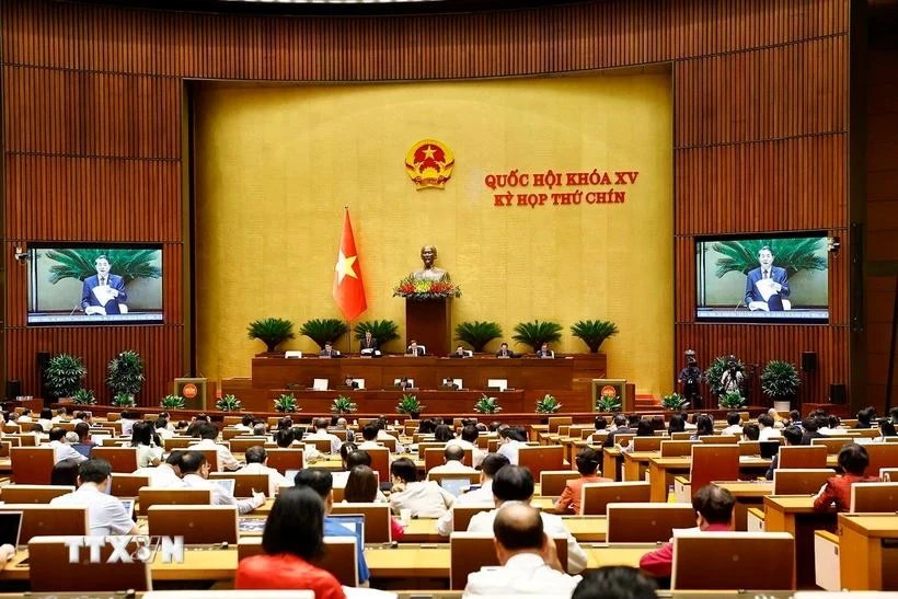 第十五届国会第九次会议场景。图自越通社
