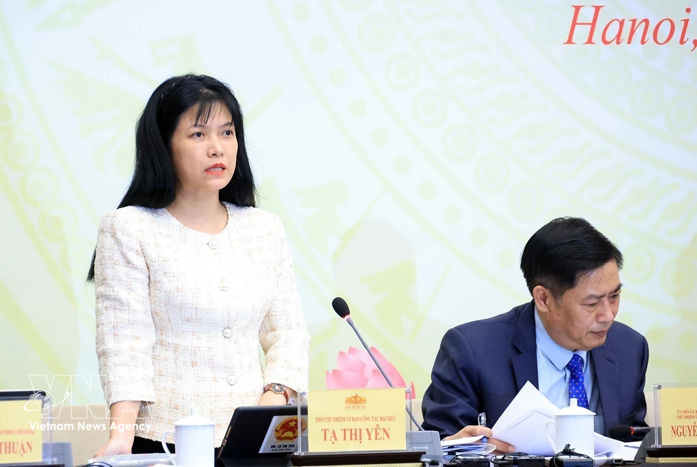 越南国会代表工作委员会副主任、国家选举委员会常务办公室副主任谢氏安发表讲话。图自越通社