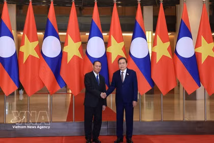 越南国会主席陈青敏会见老挝人民革命党中央书记处常务书记维莱·拉坎丰。图自越通社