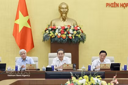 越南国会主席陈青敏发表讲话。图自越通社