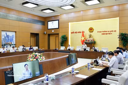 国会副主席阮克定发表讲话。图自越通社