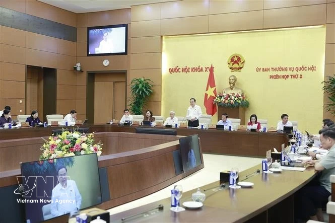 国会主席陈青敏发言。图自越通社