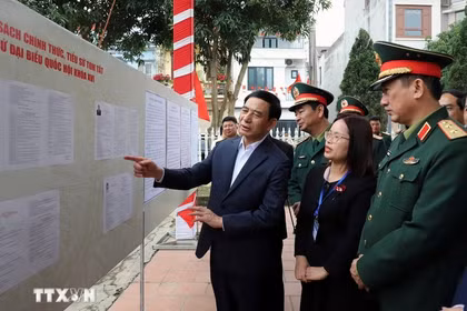 越共中央政治局委员、国防部长潘文江大将检查太原省潘廷逢坊选举筹备工作。图自越通社