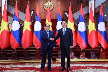 越南与老挝举行政府及国会高层会面