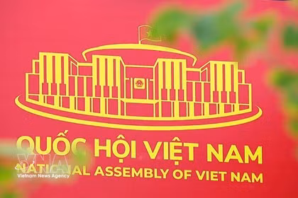 越南国会立法工作连续开展 任期之间无间断