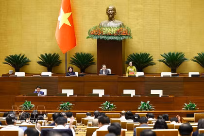 国会副主席阮氏青主持会议。图自越通社