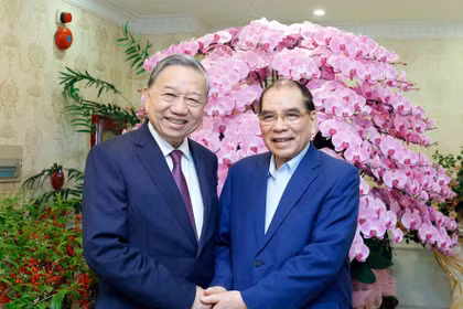 越共中央总书记苏林与前越共中央总书记农德孟。图自越通社