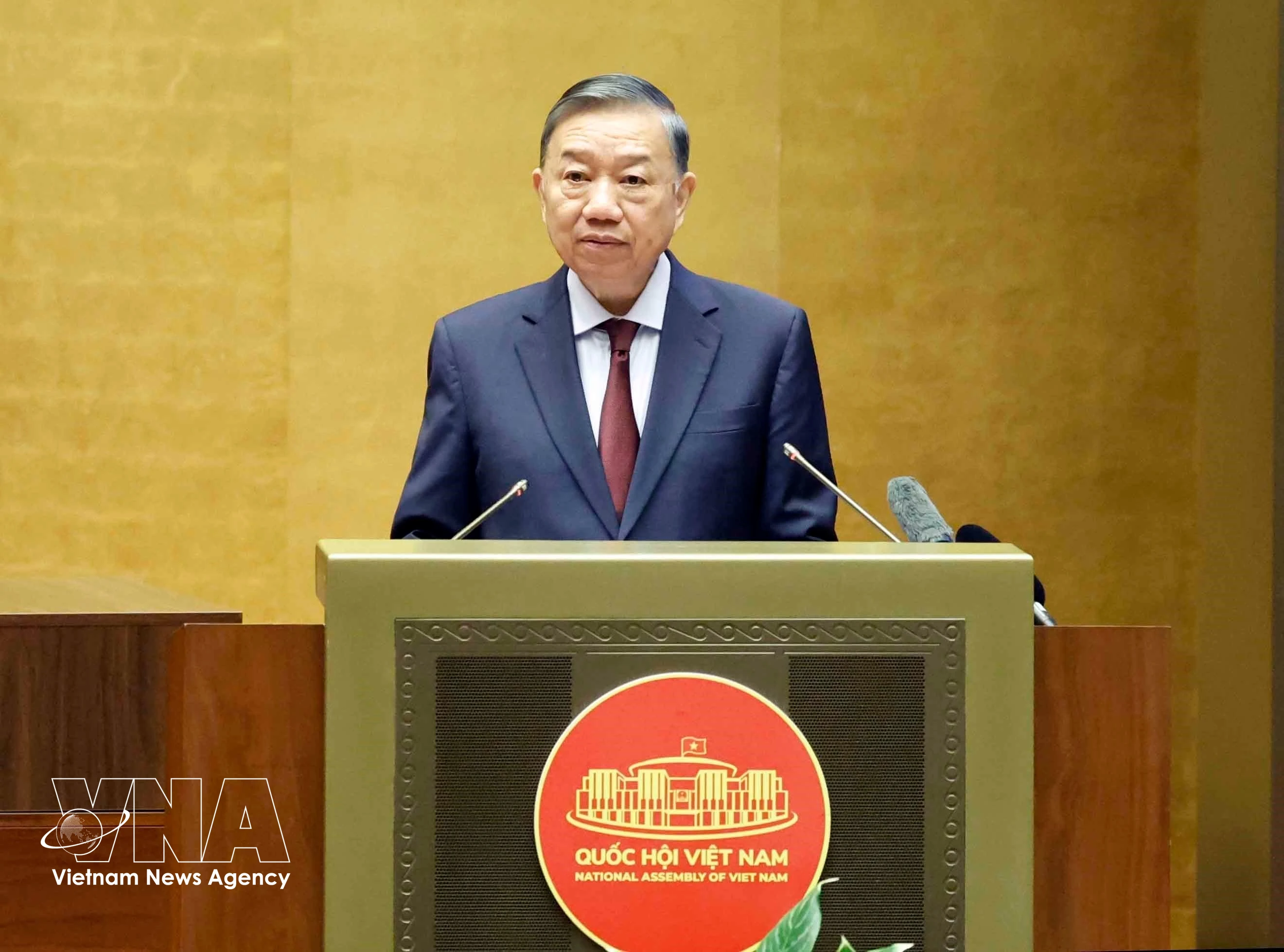 越共中央总书记、国家主席苏林在会上发表讲话。图自越通社