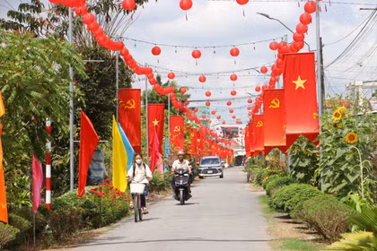 永隆省正按规定、按进度同步开展各项准备步骤。图自越通社