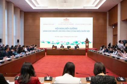 培训会议。图自人民代表报