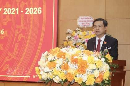 高平省委常务副书记、省人民议会主席闭清静发表讲话。图自越通社